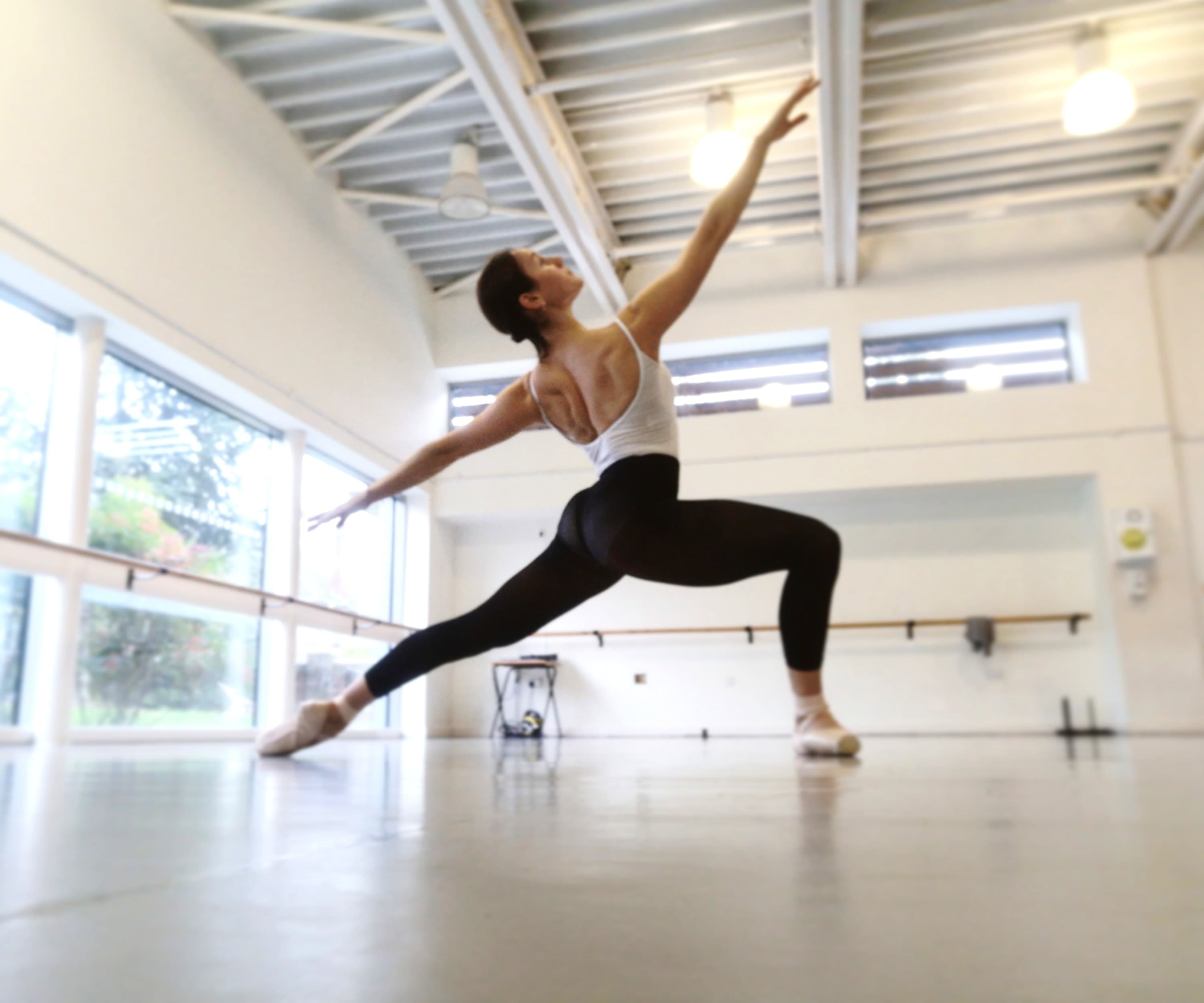 Perfectionism and Body Image in the dance industry... 